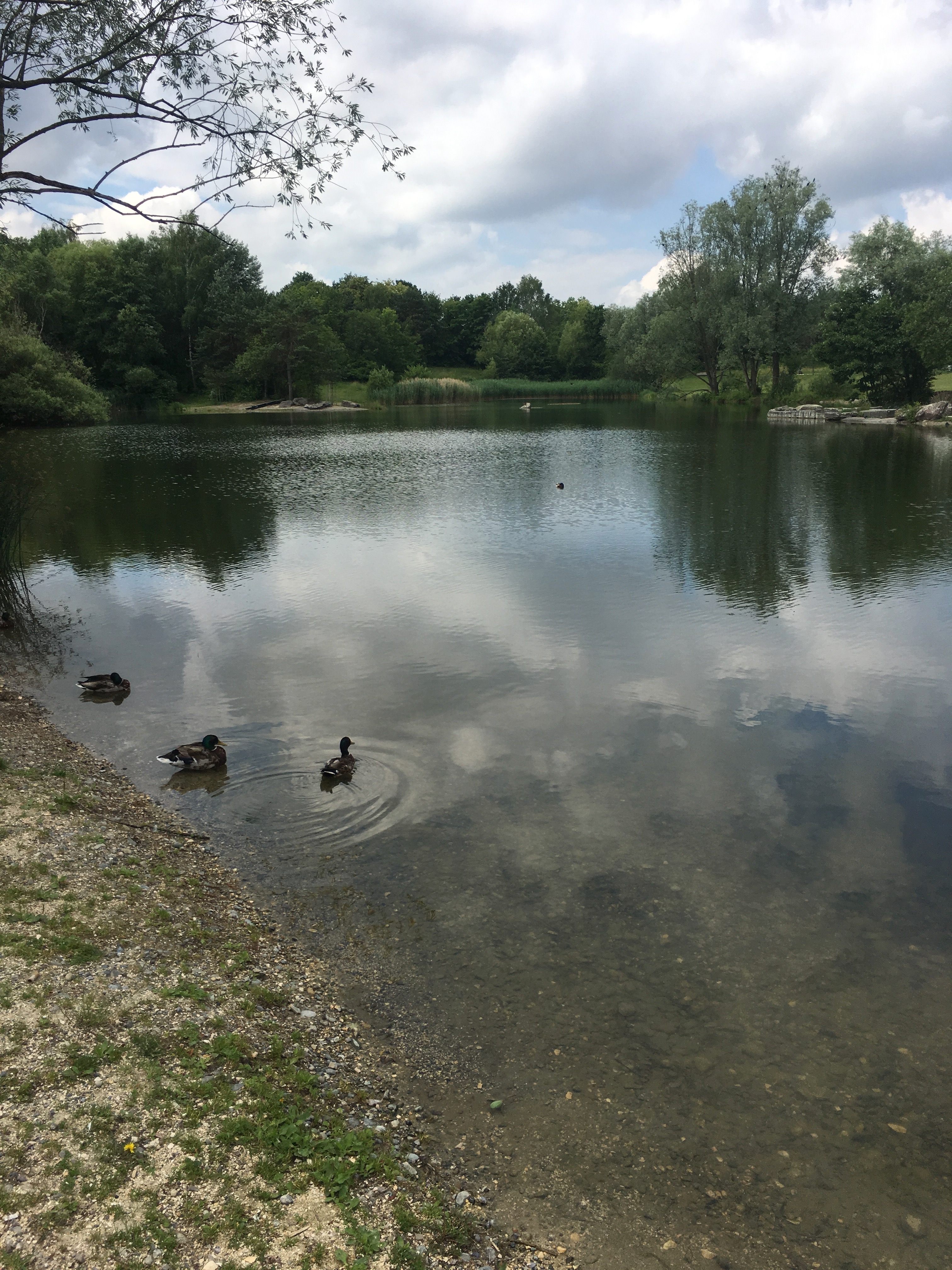 Park near the gym